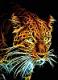 Grisha